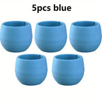 cache pots succulentes couleurs mixtes rayures horizontales moderne minimaliste plastique variété tons vibrant