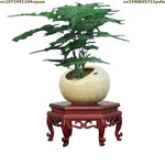 présentoir bois artisanal support plantes sculpture marron décor intérieur extérieur étagère jardin