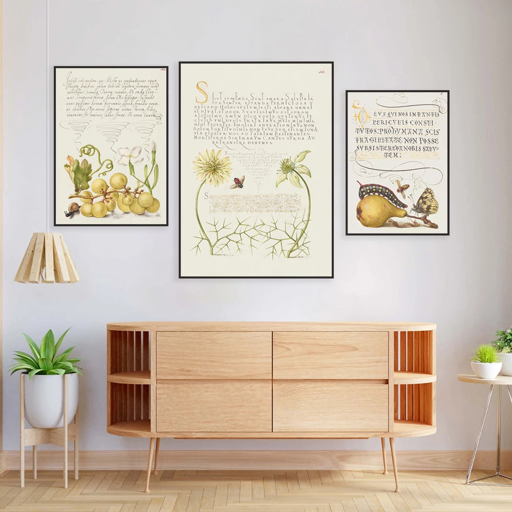 Des illustrations botaniques colorées et détaillées encadrées qui décorent le mur au-dessus d'un meuble de rangement en bois, créant une atmosphère chaleureuse et naturelle dans cette pièce.