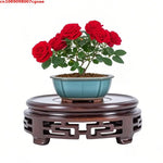 support vase bois sculpté socle plante décoratif classique marron foncé pot fleurs intérieur