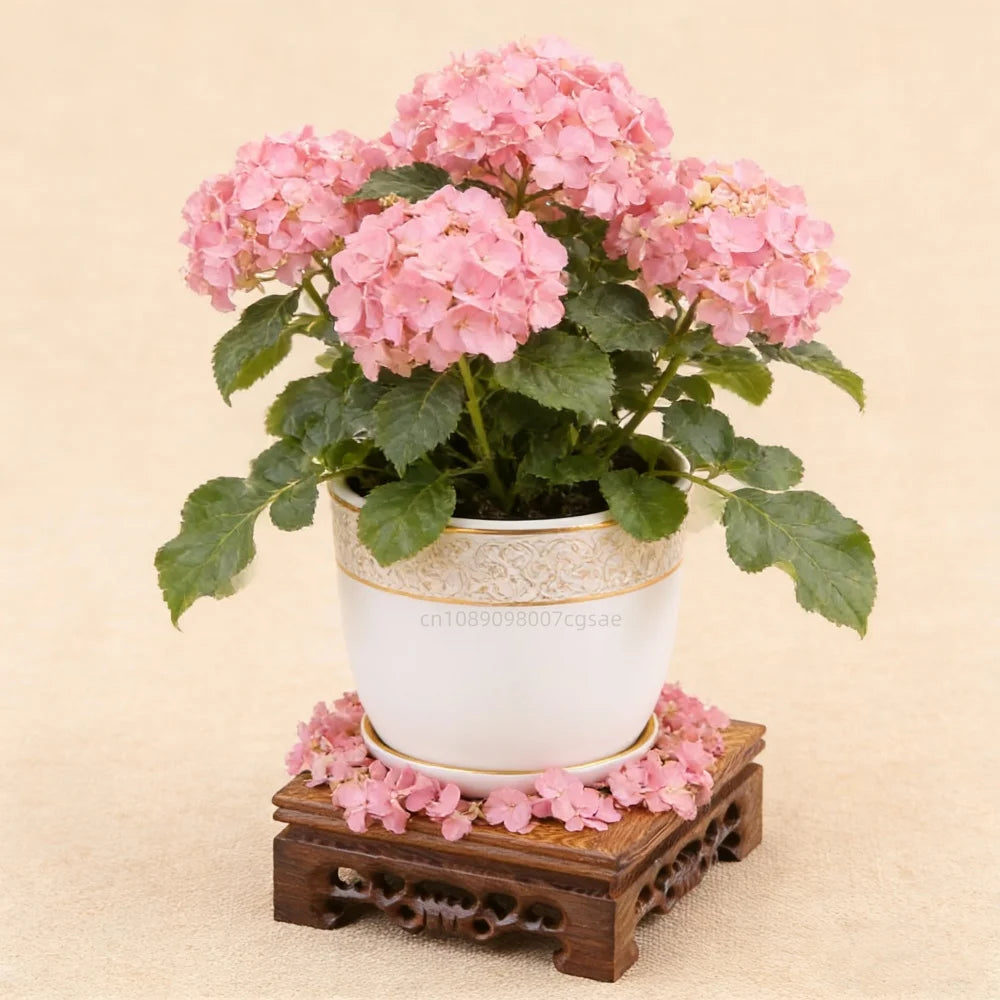 support bois sculpté pot fleurs plante décorative artisanal classique