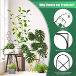 Tuteur pour plantes grimpantes orange