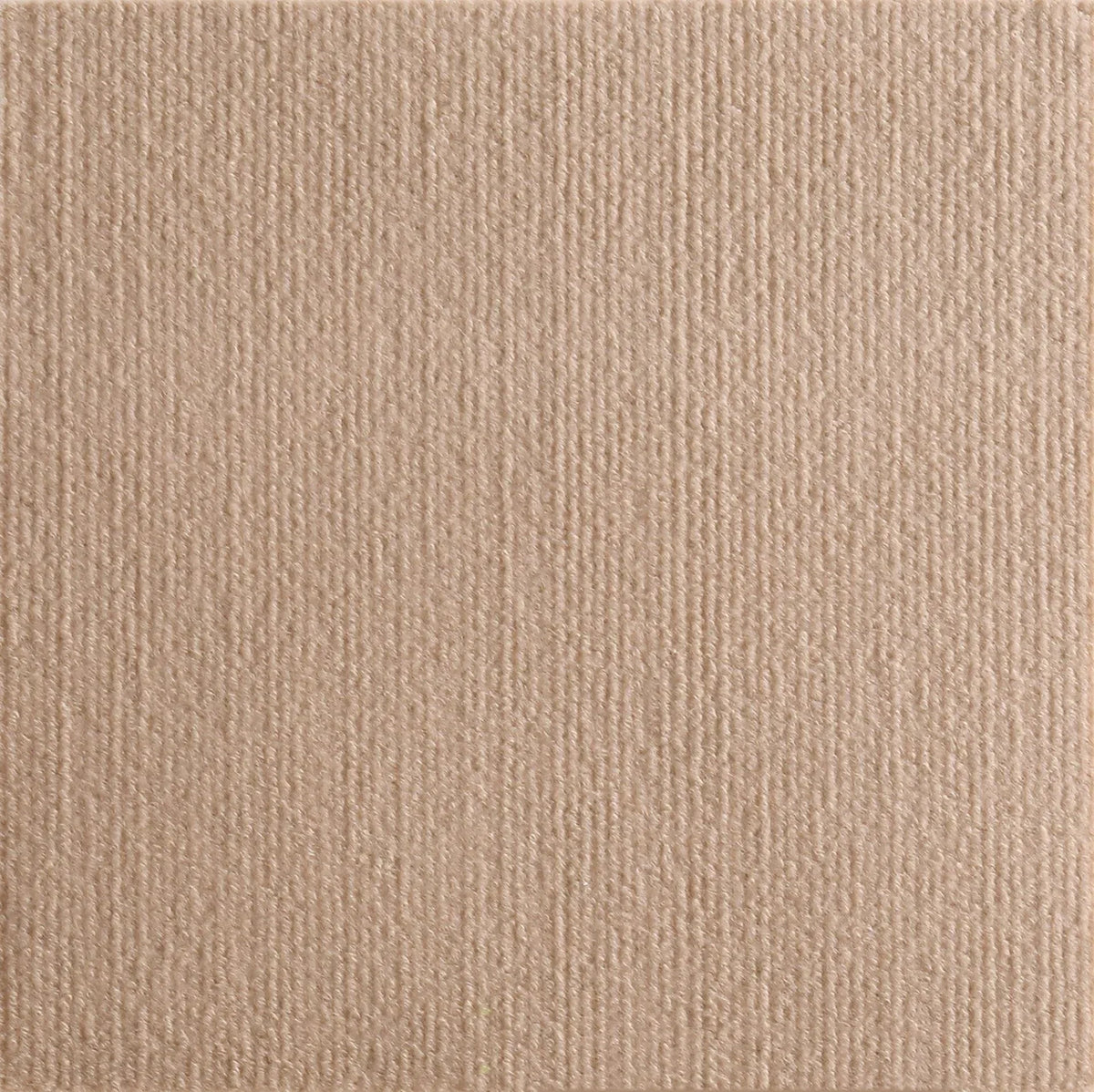 protection canapé adhésive tissu non tissé gris clair moderne anti rayures 30x100cm fixe
