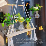 vases suspendus verre transparent modernes minimalistes adhésifs plantes intérieures