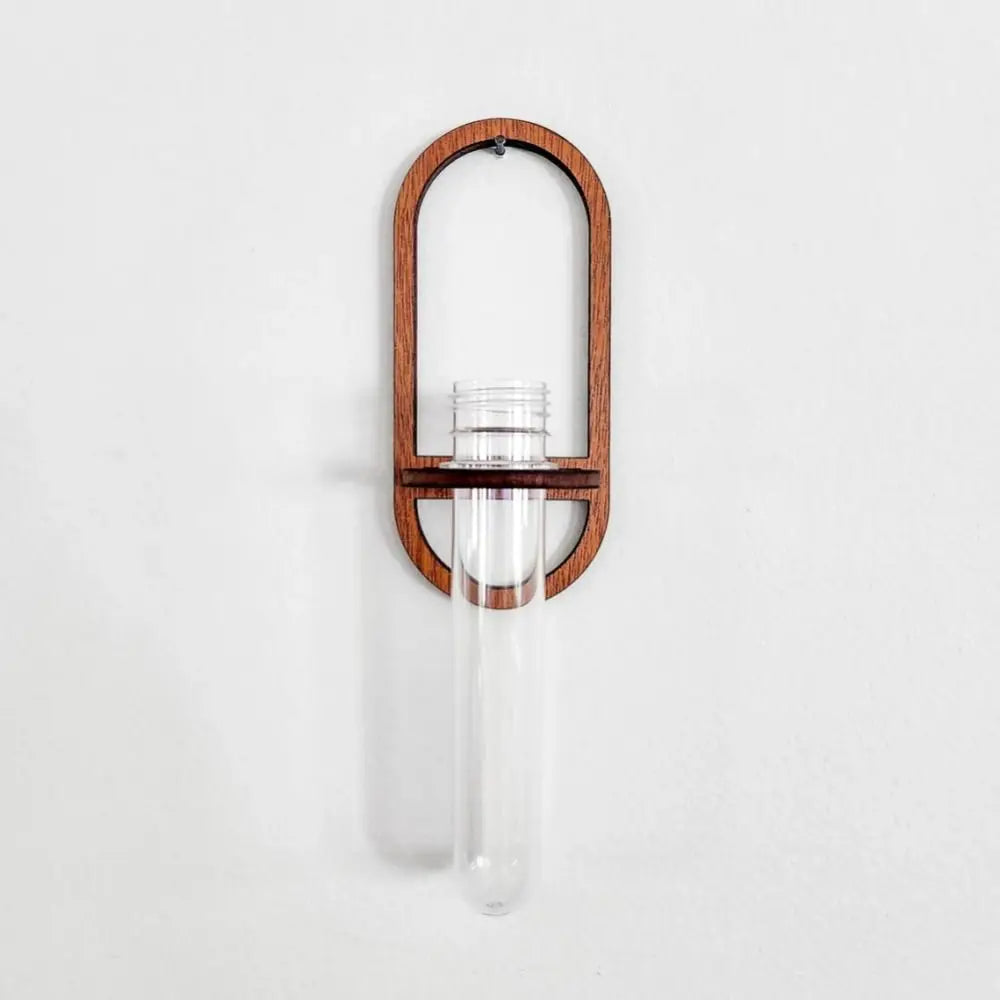support mural moderne transparent bocal marron adhésif plante deco étagère bois minimaliste arrangement fleur
