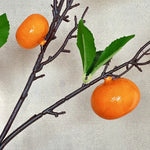décoration intérieure branches fruits naturels pommes oranges citrons marrons festive maison anniversaire