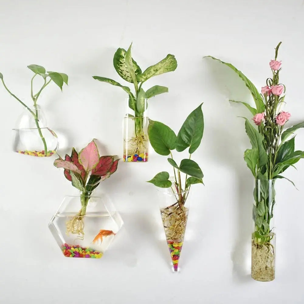 vases suspendus modernes verre transparent plante suspendue minimaliste fixations pierres colorées