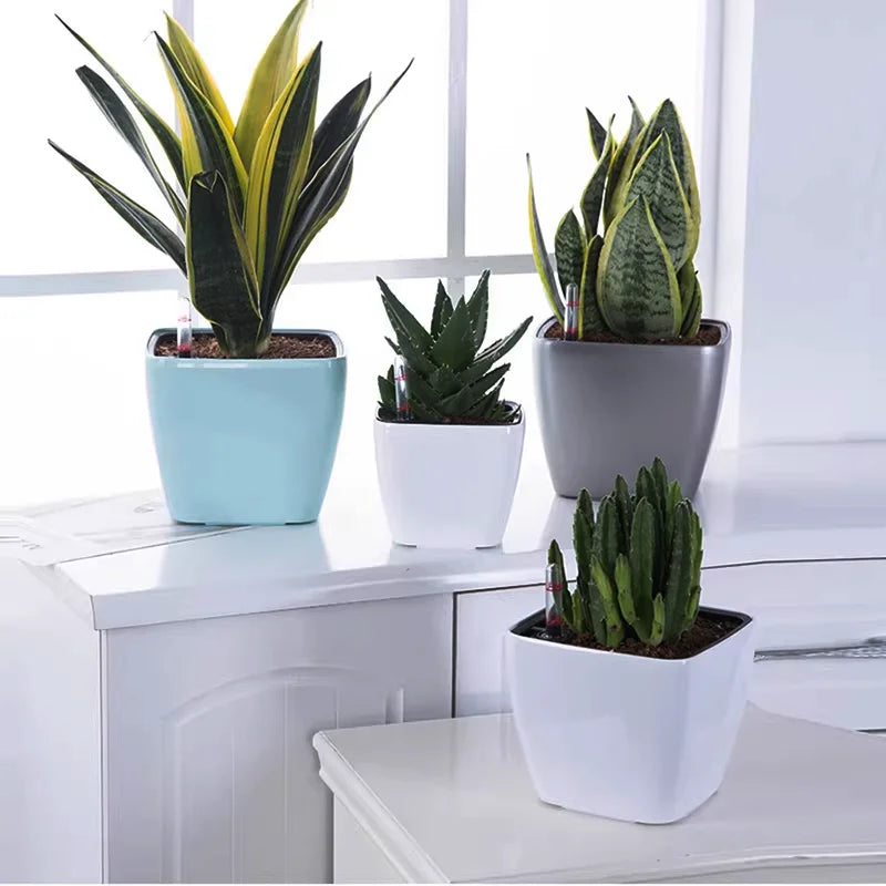 pots auto arrosants indicateur niveau eau moderne plante verte intérieur blanc bleu clair contemporain