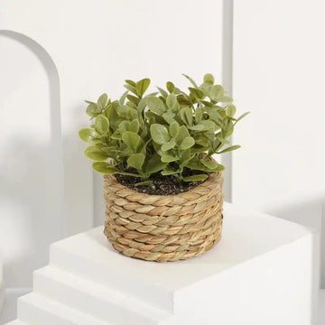 décoration intérieure plante artificielle pot osier feuilles vertes modernes salon