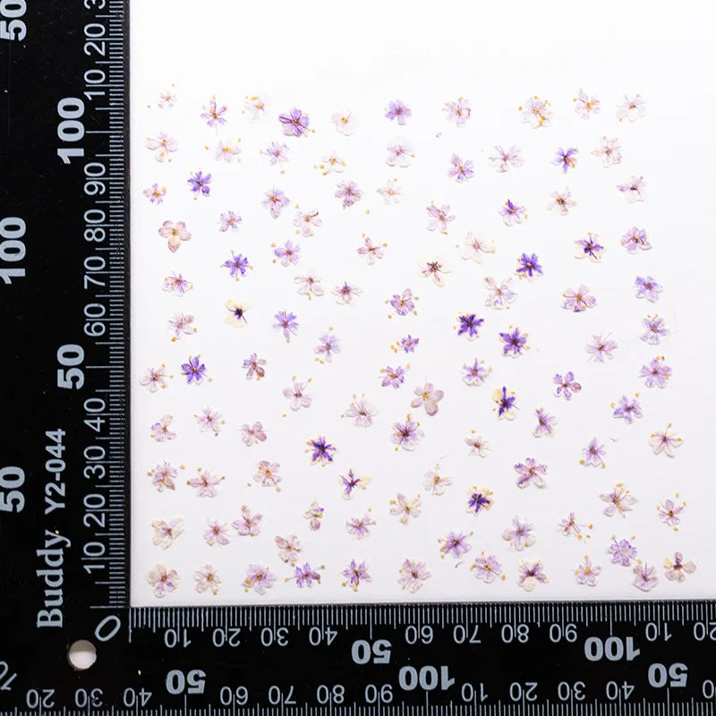 fleurs séchées naturelles bleu vert orange rose violet jaunes fleurs simples décoration diy bijoux
