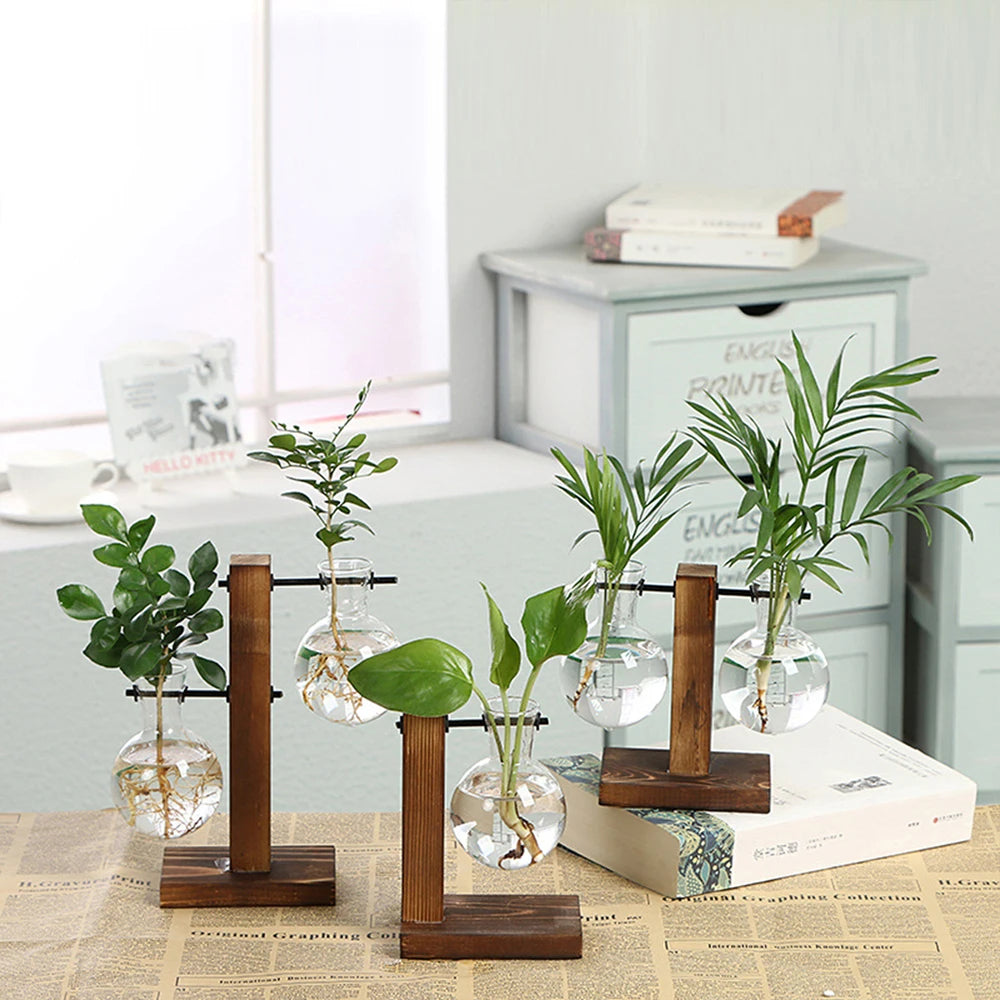 vase verre transparent support bois plante intérieure minimaliste hydroponie contemporain deco chambre