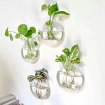 vases muraux transparents modernes suspension plante gravier eau hydroponique automatique