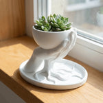 support bijoux blanc main sculptée pot plante moderne ornement décoration intérieure blanc.texture lisse