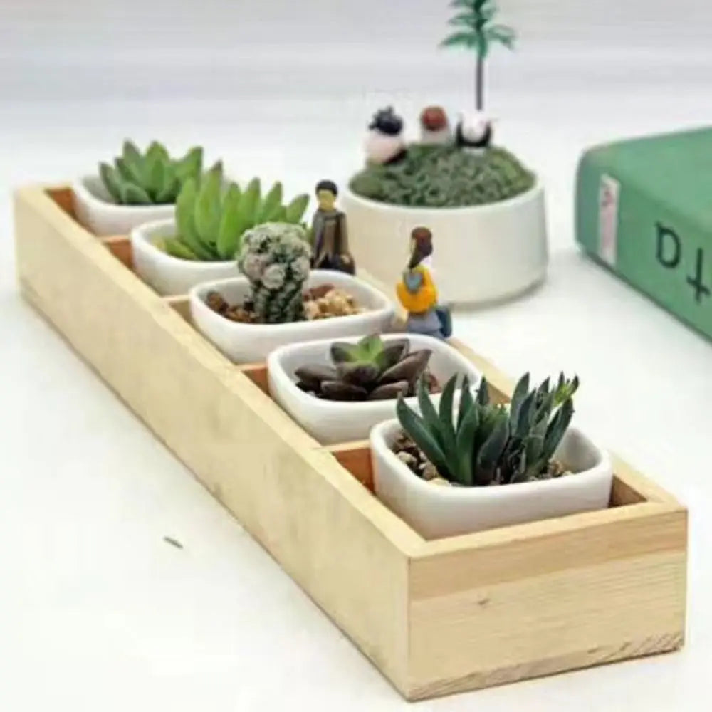 supports plantes succulentes modernes texture bois blanc minimalistes