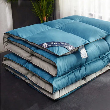 couette duvet d'oie blanc 95 coton épais confortable moderne 150x200 180x220 200x230 kg