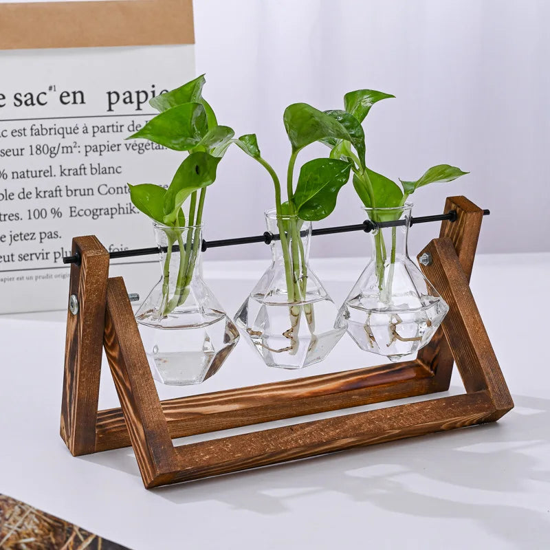 Support plantes moderne vase verre transparent bois marron clair minimaliste fixations vis vases
