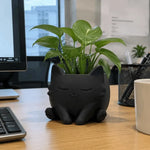 pot fleurs forme chat noir blanc pot succulentes plantes vertes décoration intérieure moderne mignonne