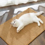 tapis grattage chats sisal adhésif non glissant durable moderne 30x60cm
