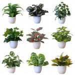 plantes artificielles vertes bonsaï ornement accessoires photo scindapsus pot rotin extérieur moderne