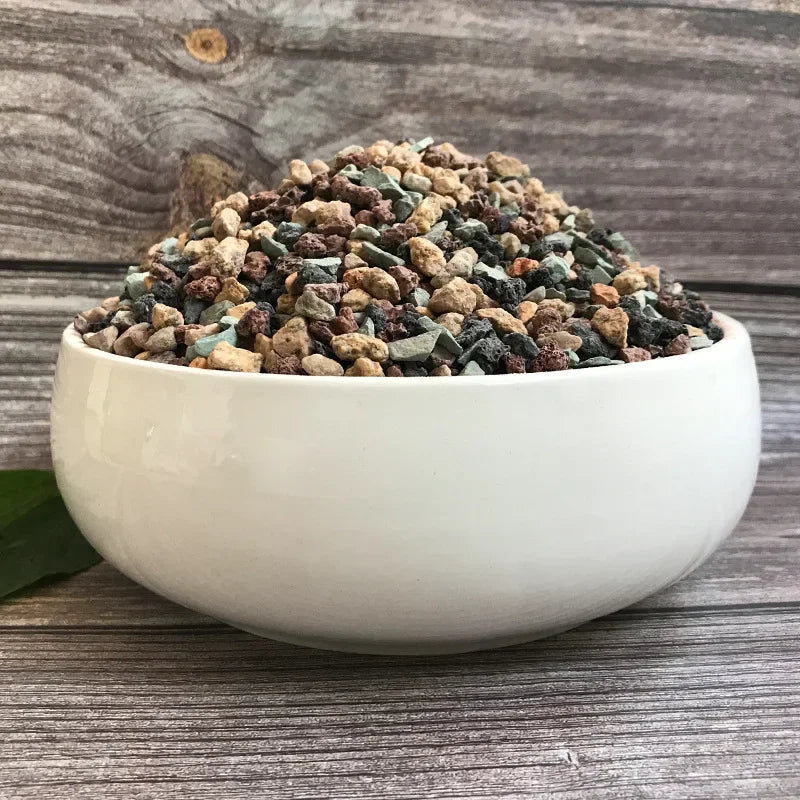 gravier naturel noir gris vert granulaire jardin pot succulentes plantes matricielles arc ciel