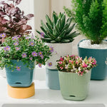 pots plante plastique moderne rayures blanc vert bleu drainage jardin intérieurextérieur