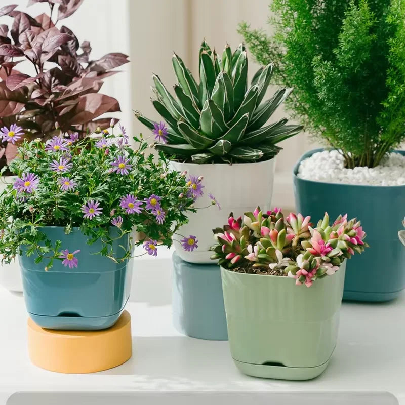 pots plante plastique moderne rayures blanc vert bleu drainage jardin intérieurextérieur