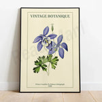 Affiche botanique vintage représentant des fleurs et des feuilles d'une plante en couleurs vives sur un fond crème, avec le titre "Vintage Botanique" et le nom de l'artiste lithographe.