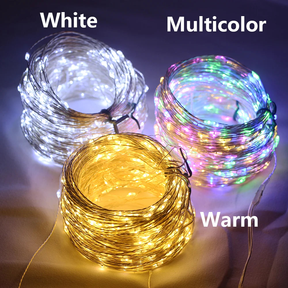 Détail de la guirlande LED multicolore en fil argent