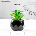 plantes artificielles bonsaï vertes modernes pot poterie décoration intérieure extérieure jardin