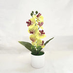 Orchidée artificielle rose pot blanc fleurs blanches intérieur décoration moderne salon événement