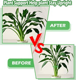 Supports plante intérieure floral moderne vert fixations tailles différentes 20 pièces