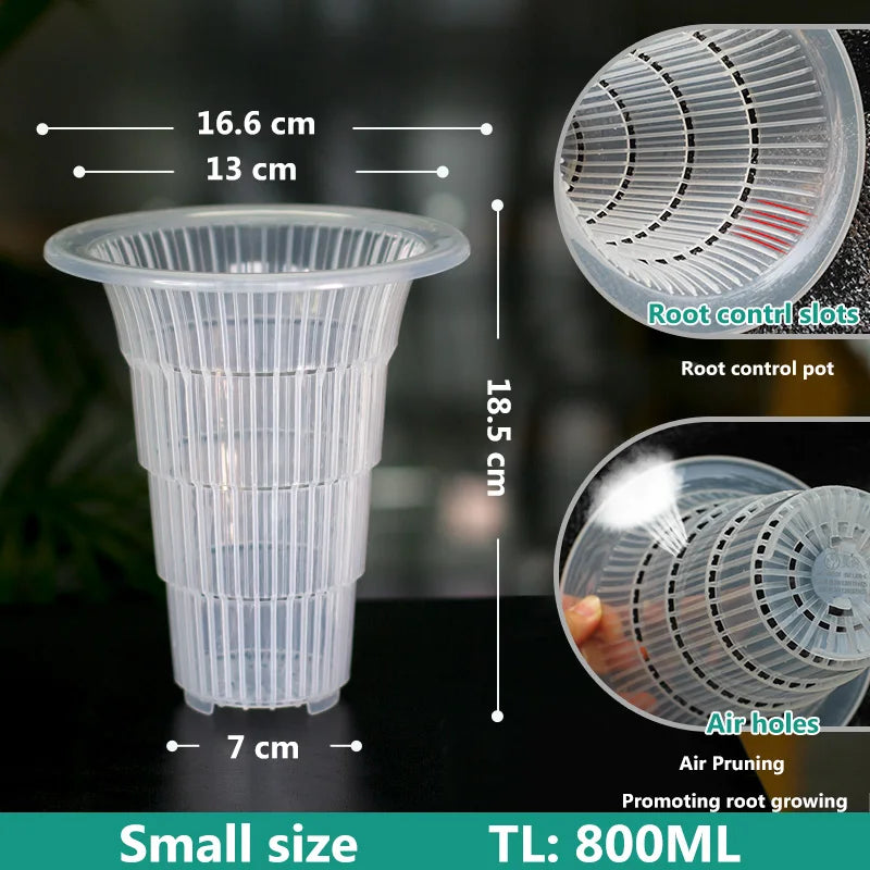 pots fleurs transparents noirs blancs structure alvéolaire drainage ornemental plantes vertes orchidées dendrobium cymbidium