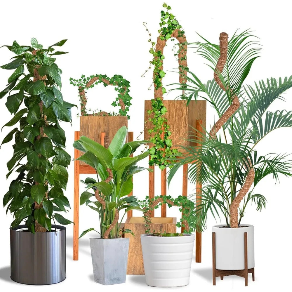 poteaux support plantes mousse coco pliables osier décoration jardin intérieur minimaliste naturel