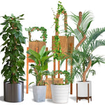 poteaux support plantes mousse coco pliables osier décoration jardin intérieur minimaliste naturel