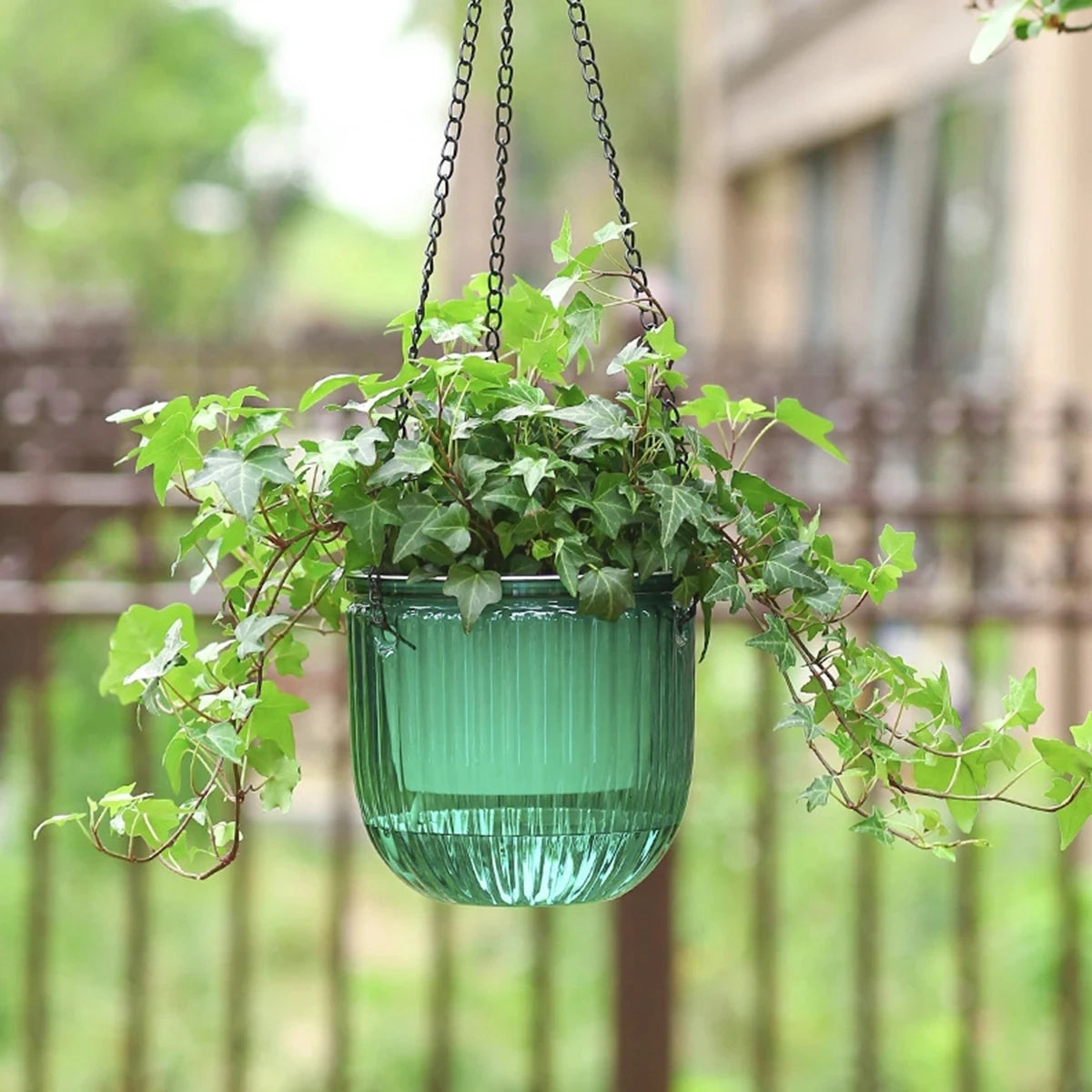 pots fleurs suspendus plastique translucide eau visible moderne minimaliste différentes couleurs plante fleur succulente