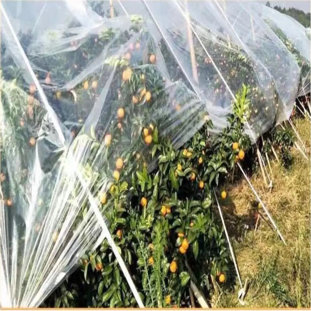 film plastique transparent protection jardin 10m 15m 20m 2m 30m 4m 6m 8m simple