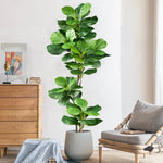 Plante artificielle ficus grande feuilles vert moderne décoration extérieure intérieure 100cm 150cm