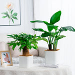 pots carrés auto arrosage plante verte intérieur balcon nordique rayures verticales plastique épaisseau