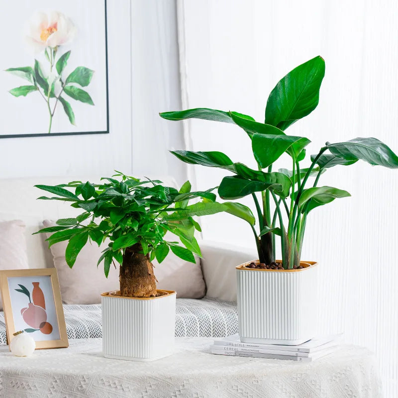 pots carrés auto arrosage plante verte intérieur balcon nordique rayures verticales plastique épaisseau