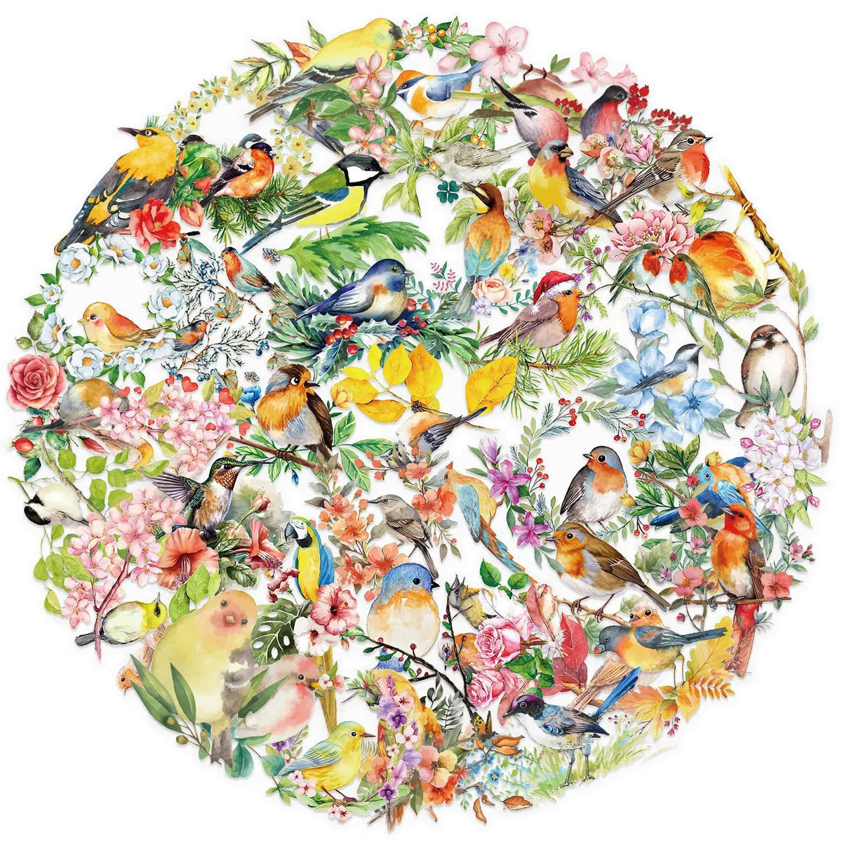 stickers decoratifs oiseaux fleurs aquarelle transparents botanique floral adhésifs diverses tailles formes