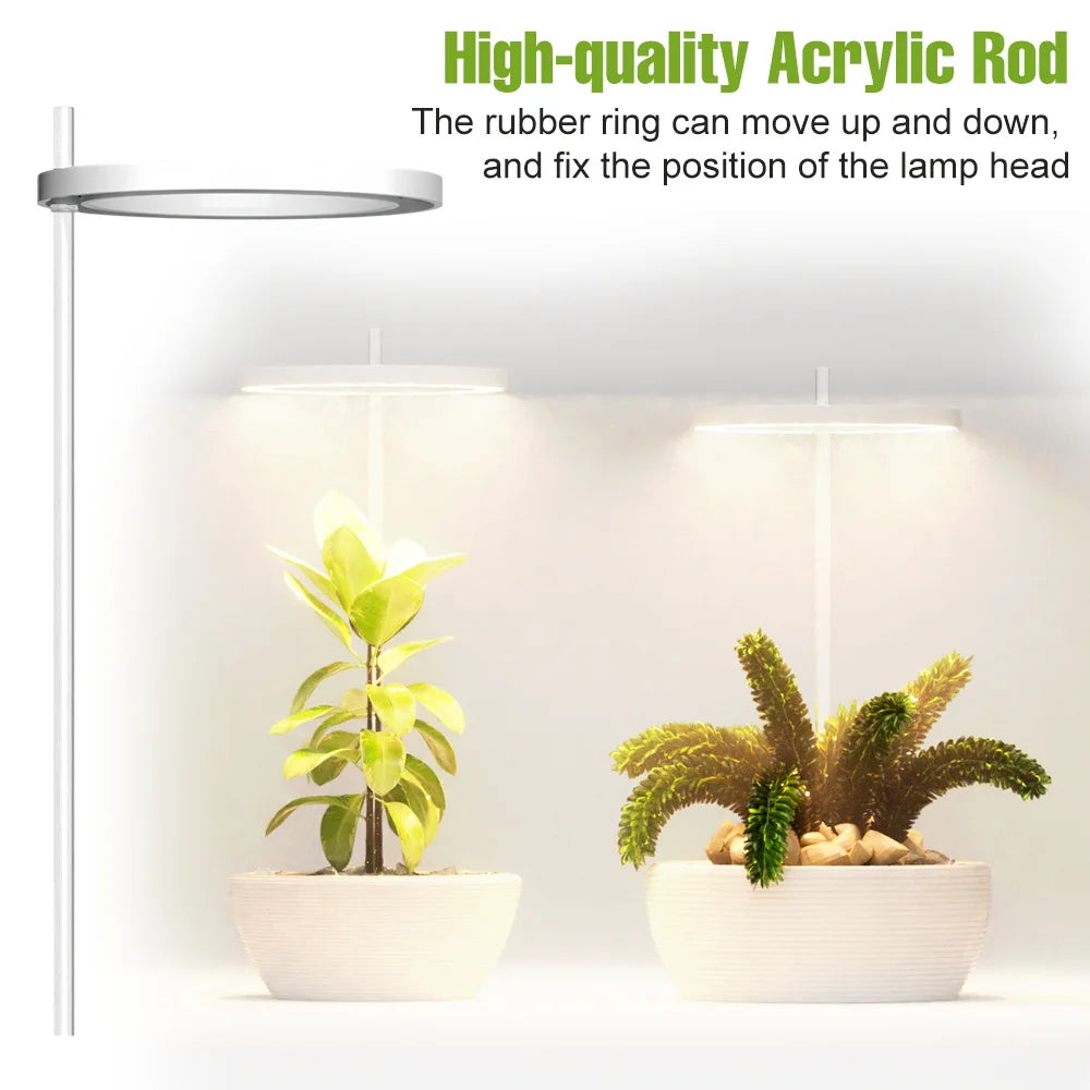 lampe led croissance plante circulaire diodes blanc moderne anneau flexible réglable temps