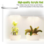 lampe led croissance plante circulaire diodes blanc moderne anneau flexible réglable temps