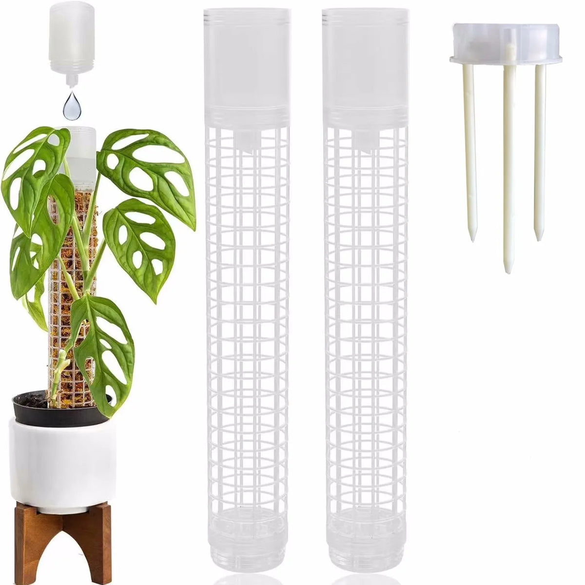 support plantes intérieur irrigation monstera adhésif conteneur eau gravier mousse terre modernes transparents