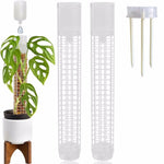 support plantes intérieur irrigation monstera adhésif conteneur eau gravier mousse terre modernes transparents