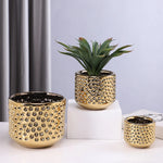 Vase doré pour terrarium sur table en bois