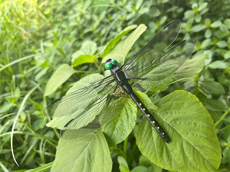 décoration extérieure dragonfly répulsif moustiques naturel sans chimie vert translucide jardin tringle