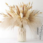 bouquet pampas séchés naturels beige marron blanc décoration boho intérieur événements festifs