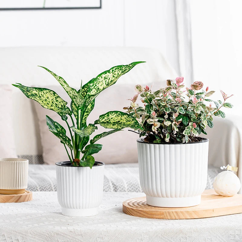 pots fleurs modernes résine blanc rayures verticaux hydroponiques plante verte autoarrosage personnes paresseuses