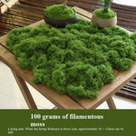 mousse décorative verte polyester décoration intérieure terrariums pots plantes diy bonsaï filamenteuse duveteuse