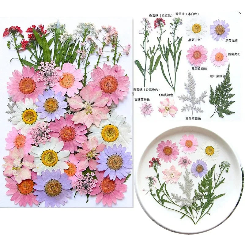 fleurs séchées multicolores variées naturelles scrapbooking décoration maison artisanat DIY